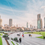 Top Freezones in the UAE: Which One is Best for Your Business?